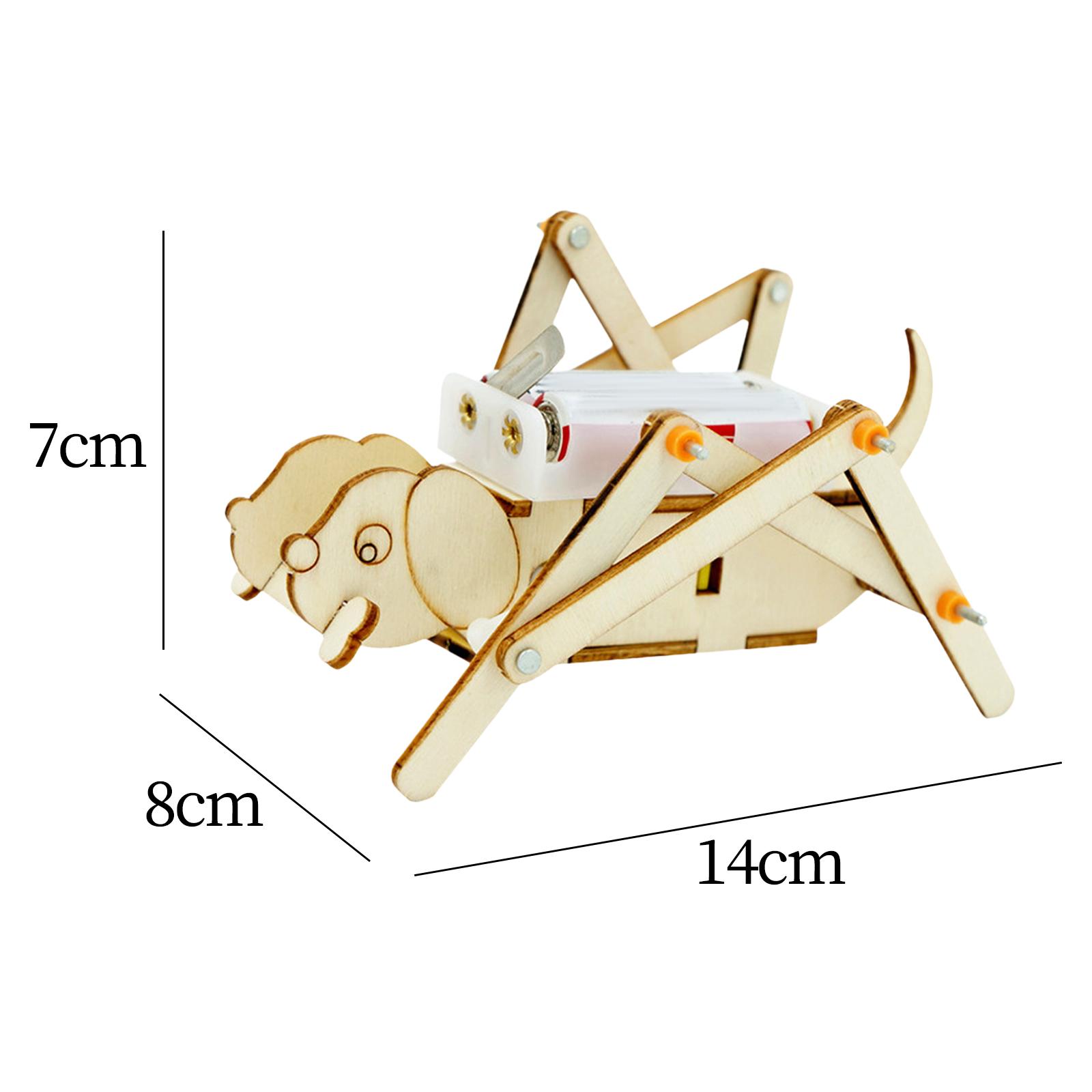 Kit scientifique de modèles en - Science Project Toys Making avis et prix
